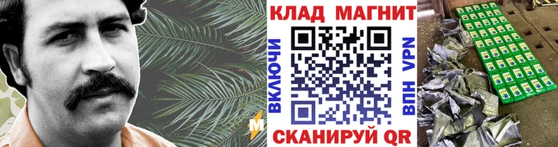 Виды наркотиков купить Вологда ГАШ МАРИХУАНА Cocaine Мефедрон