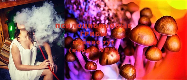 таблы Алексеевка
