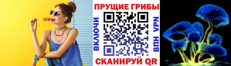 мега ТОР  Вологда  Псилоцибиновые грибы Magic Shrooms  продажа наркотиков 