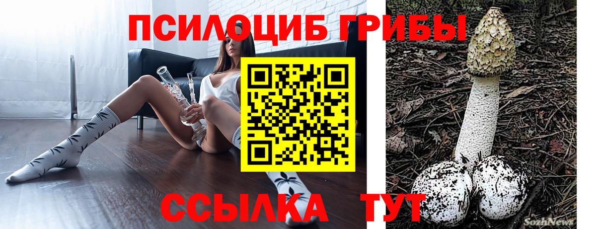 Галлюциногенные грибы Magic Shrooms Вологда