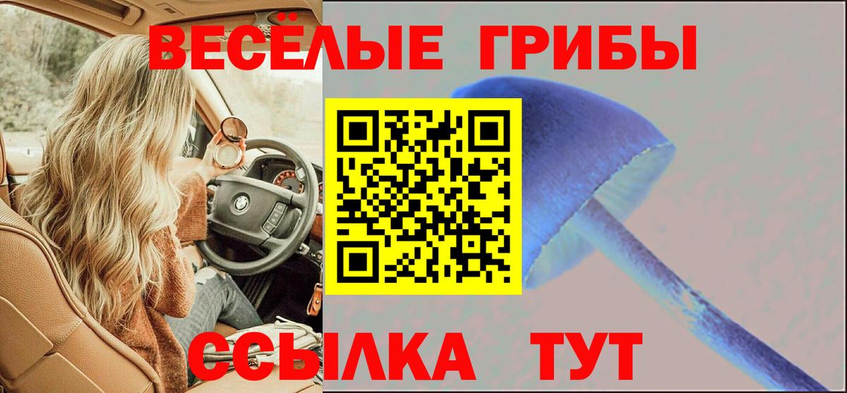 Галлюциногенные грибы Magic Shrooms  Вход с VPN  Вологда 